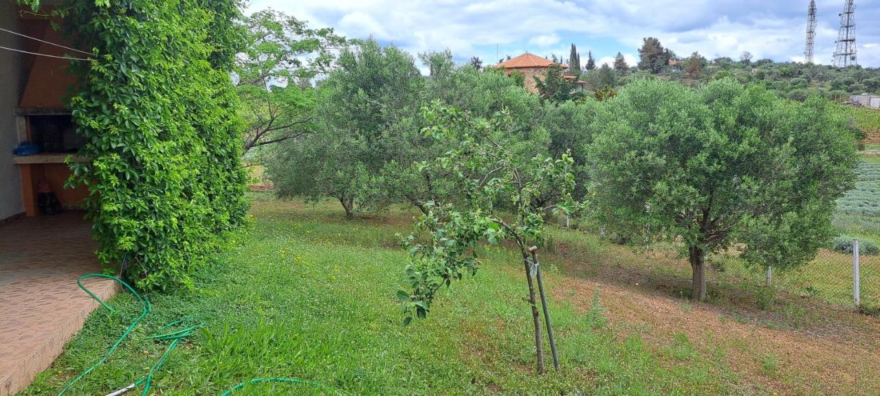 Hill View 4 Villa Alexandroupoli Eksteriør billede