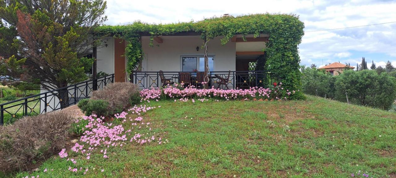 Hill View 4 Villa Alexandroupoli Eksteriør billede