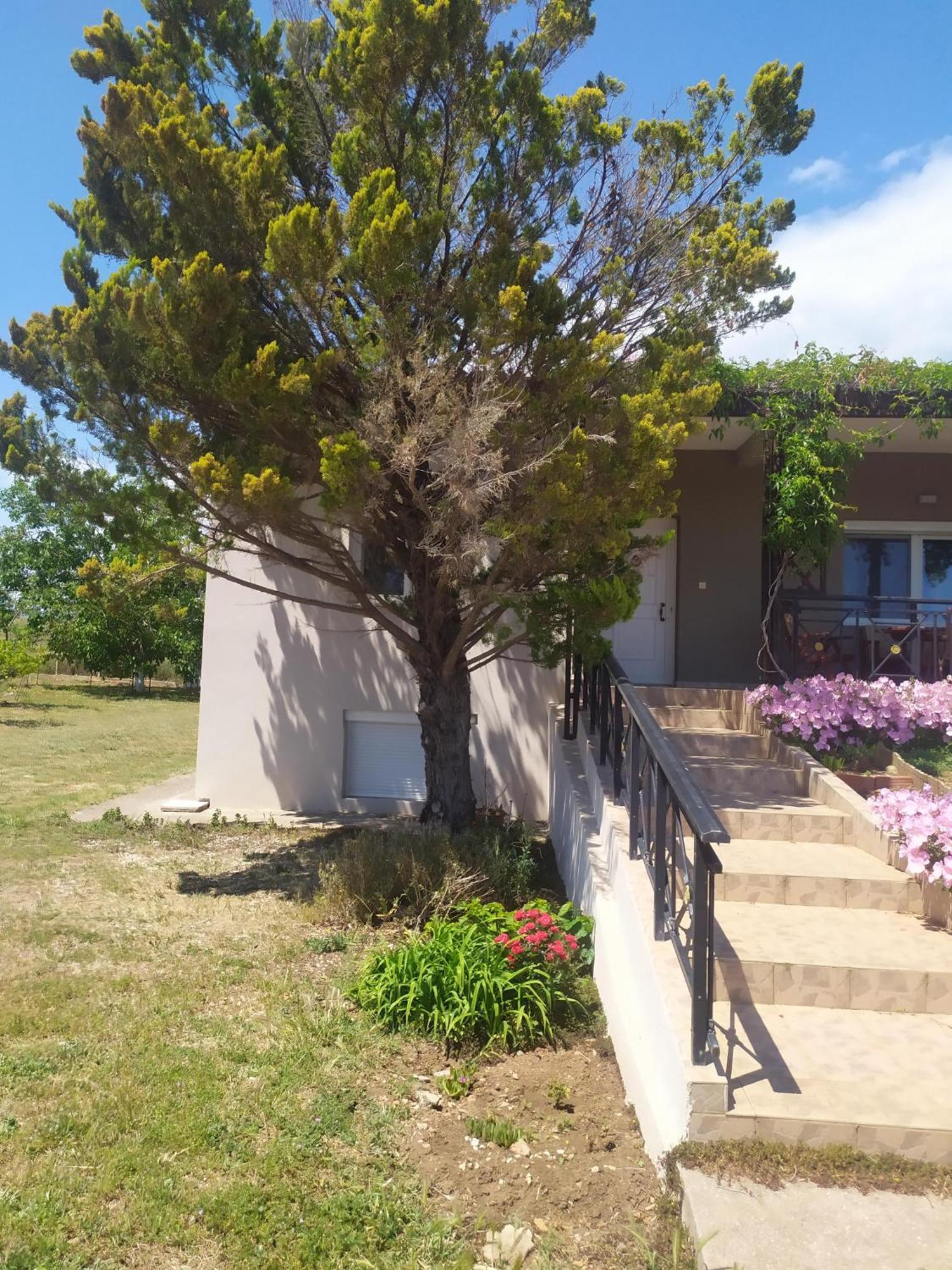Hill View 4 Villa Alexandroupoli Eksteriør billede